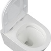 Унитаз подвесной Berges Wasserhaus Vita Rimless 043377 (с сиденьем)