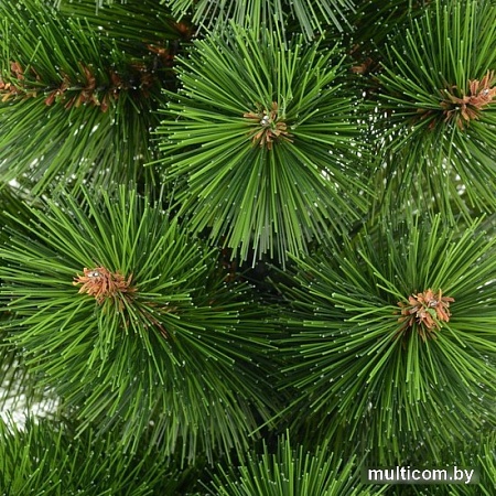 Ель Erbis Zylk 120