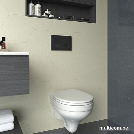 Унитаз подвесной Berges Wasserhaus Floe S Atom Line 043345