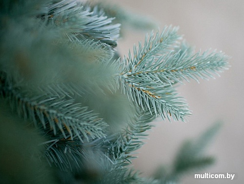 Ель Green Trees Россо премиум 1.5 м