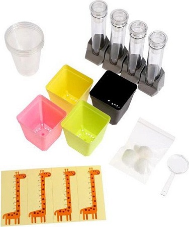 Набор для опытов Эврики Наука о растениях 5066413