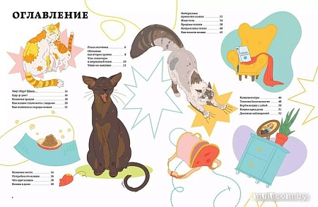 Энциклопедия издательства Альпина Паблишер. Секреты кошек. Как понять свою кошку и подружиться с ней (Рауш С.)