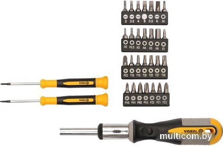 Набор отвертка с битами Vorel CrV 64655 (31 предмет)