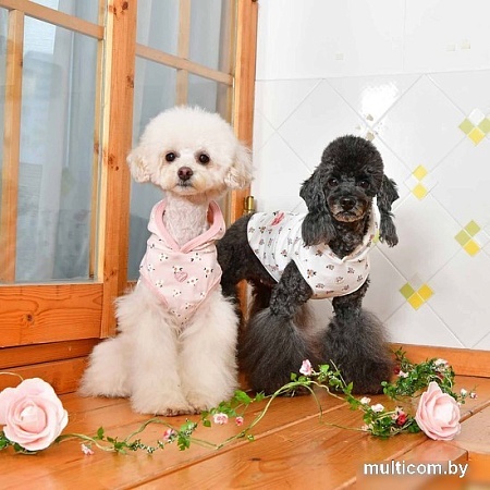 Футболка Pinkaholic Fiorella с капюшоном NATA-TS7567-IP-M (розовый)