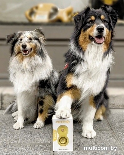 Игрушка для собак EBI Petit Coco 309/449417