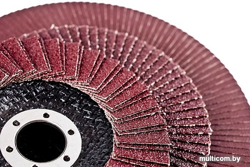 Набор шлифкругов БаЗ КЛТ2 A00000892 (5 шт)