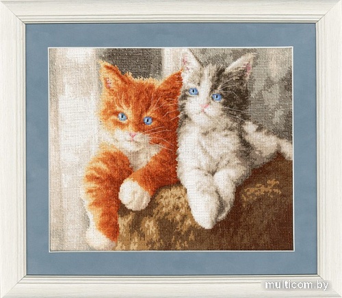 Набор для вышивания Золотое руно Пушистые котята НЛ-047