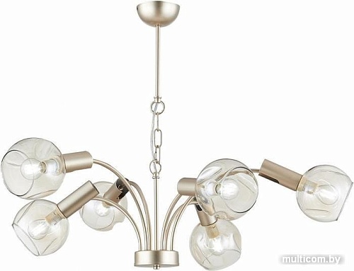 Подвесная люстра Evoluce SLE104203-06