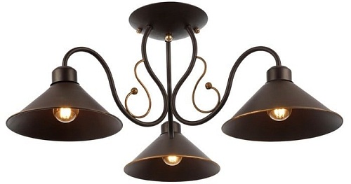 Evoluce Ciolla SLE120402-03