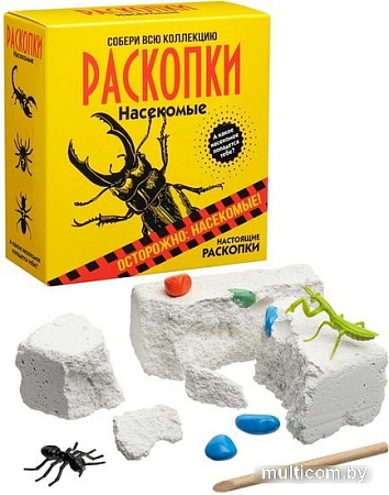 Набор для опытов Bumbaram Раскопки. Насекомые dig-19