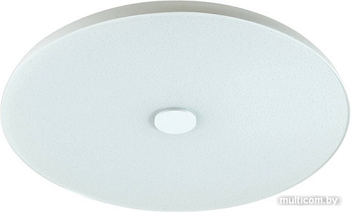 Припотолочная люстра Sonex Roki Muzcolor 4629/EL SN 032