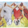 MultiArt Лошади AMR20X30-117419