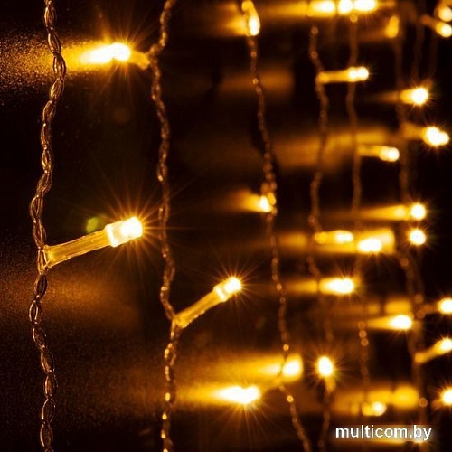 Световой дождь Евросвет 200-001 (теплый белый)