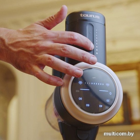 Пылесос Taurus Homeland Parking