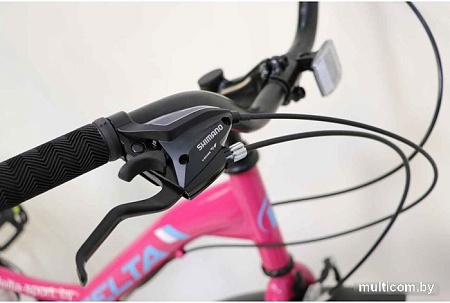 Велосипед Delta Butterfly 24 2407 (розовый)