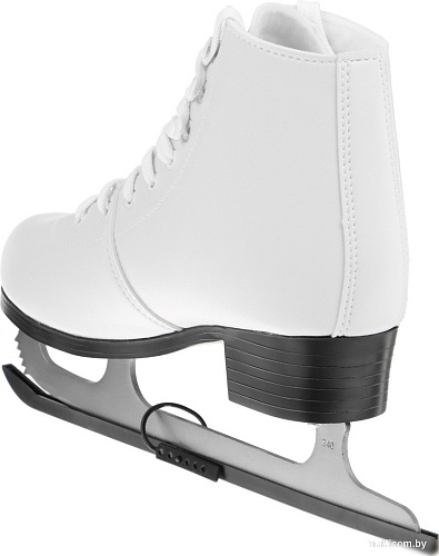 Коньки Winter Star Basic 10386676 (р. 39)