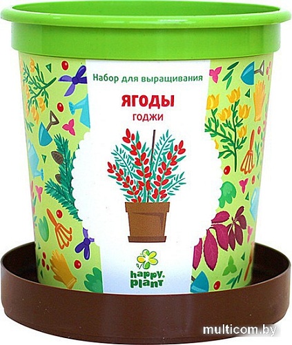 Набор для опытов Happy plant Ягоды Годжи hpn-18