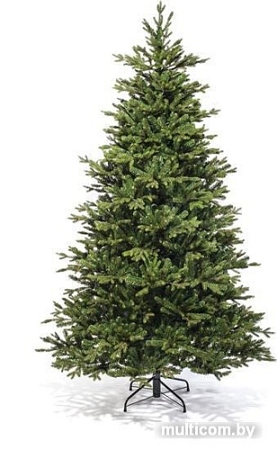 Ель Царь Елка Ева 1.55 м
