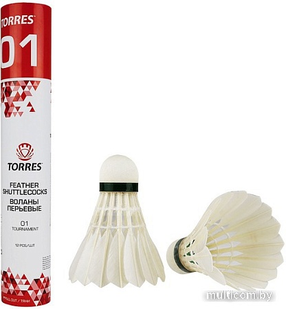 Набор воланчиков Torres 01 BD20120 (12 шт)