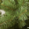Ель Царь Елка Алтайская 1.8 м