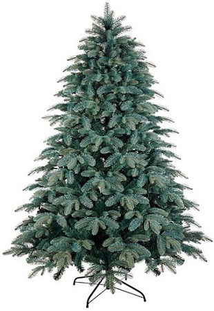 Ель Бифорес Венера микс 1.65 м (голубой)