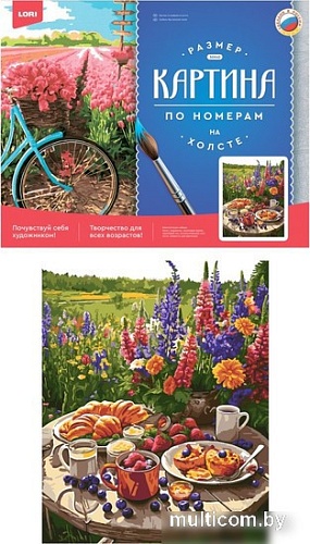 Картина по номерам Lori Пикник Рх-153