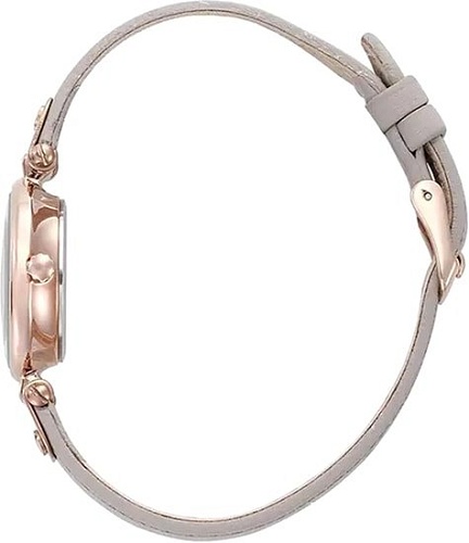 Наручные часы Anne Klein 1950RGTP