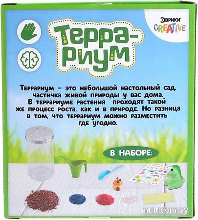 Набор для опытов Эврики Террариум 5463579