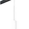 Трековый светильник Lightstar Rullo PRORP649686