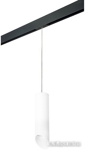 Трековый светильник Lightstar Rullo PRORP649686