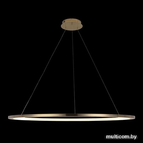 Подвесная люстра LOFT IT Ring 10014XXL
