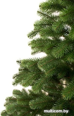 Ель Siga Group Беловежская зеленая 1.5 м