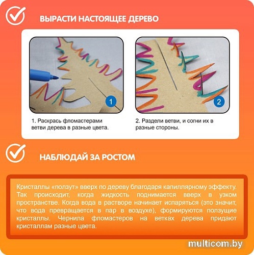 Набор для опытов Bondibon Японские опыты. Растущее дерево ВВ4720