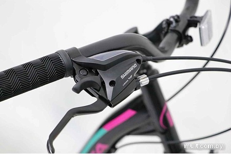 Велосипед Delta Butterfly 24 2407 (черный/розовый)