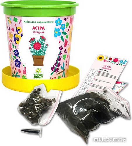 Набор для опытов Happy plant Астра звездная hpn-6