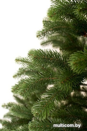 Ель Siga Group Беловежская зеленая 2.1 м