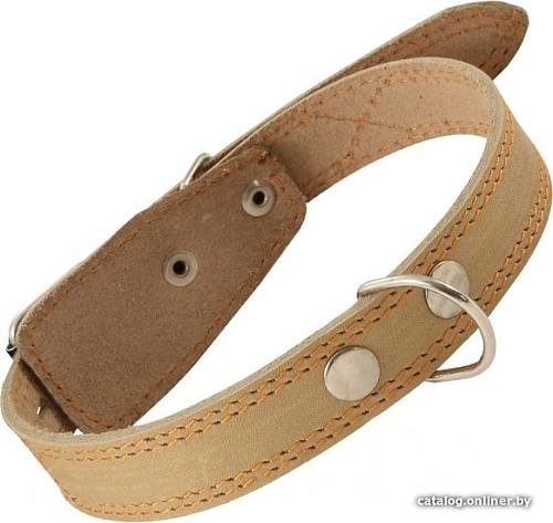 Ошейник Gamma Кожаный c кольцом 11232024