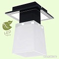 Припотолочная люстра Lussole LOFT GRLSC-2507-01