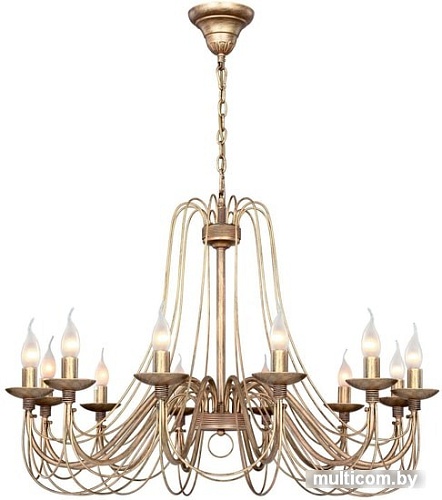 Подвесная люстра Favourite F-Promo Chateau 2163-12P