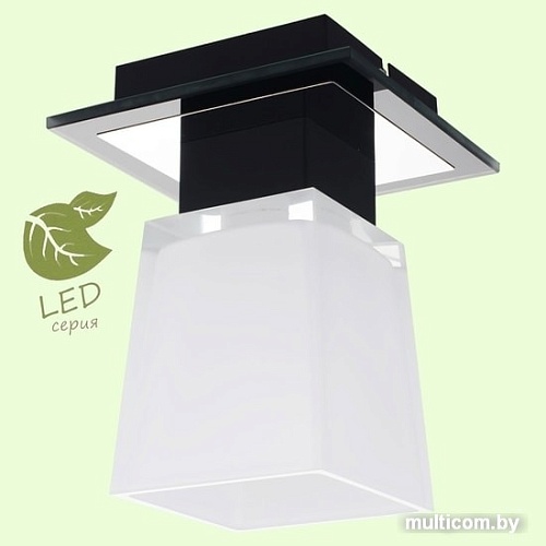 Припотолочная люстра Lussole LOFT GRLSC-2507-01