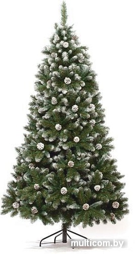 Ель Царь Елка Императорская заснеженная 1.85 м
