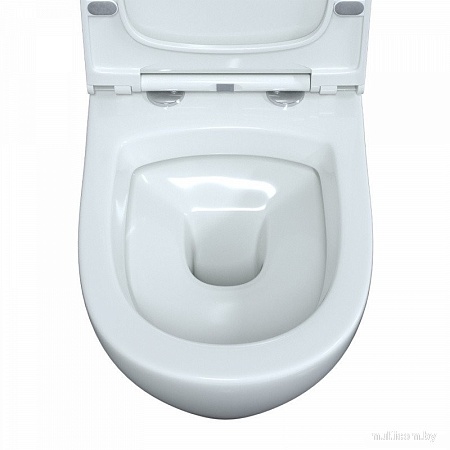 Унитаз подвесной Berges Wasserhaus 042445 (с сиденьем)