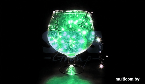 Гирлянда Neon-night Твинкл Лайт 10 м [303-158]