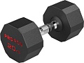 Гантель Proiron Г1200ОБР (20 кг)