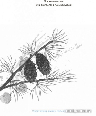 Книга издательства МИФ. Волк по имени Странник (Перри Р.)