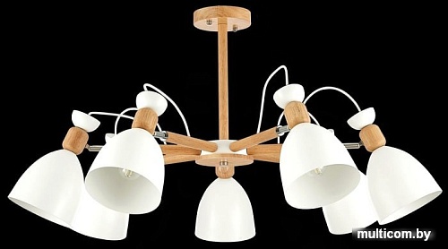 Люстра средней высоты Evoluce Balcamo SLE103802-07
