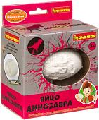 Набор для опытов Bondibon Науки с Буки Яйцо динозавра ВВ4117