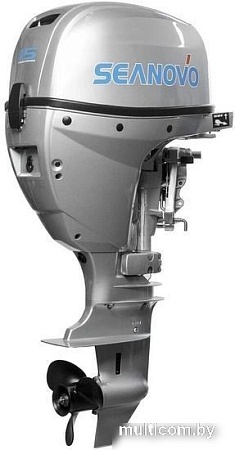 Лодочный мотор Seanovo SN EF 15 FES Enduro