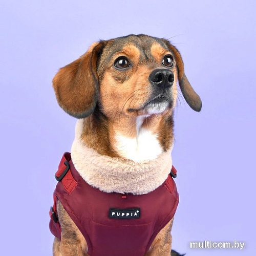 Куртка для животных Puppia Donavan PAUD-VT1853-WN-S (красный)