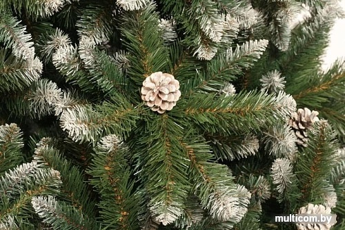 Ель Царь Елка Императорская заснеженная 1.85 м